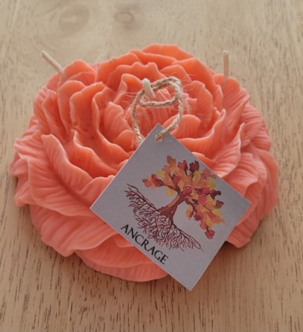 Bougie d'intention ancrage saumon pivoine XL