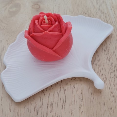 Rose rouge
